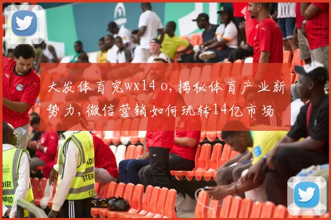 大发体育究wx14 o,揭秘体育产业新势力,微信营销如何玩转14亿市场